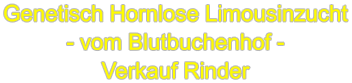 Blutbuchenhof Limousin-Hornloszucht