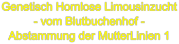 Genetisch Hornlose Limousinzucht - vom Blutbuchenhof - Abstammung der MutterLinien 1