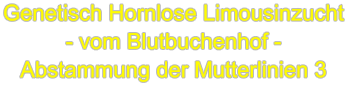 Genetisch Hornlose Limousinzucht - vom Blutbuchenhof - Abstammung der Mutterlinien 3