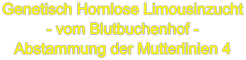 Genetisch Hornlose Limousinzucht - vom Blutbuchenhof - Abstammung der Mutterlinien 4