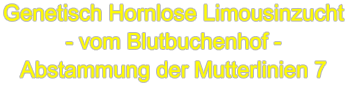 Genetisch Hornlose Limousinzucht - vom Blutbuchenhof - Abstammung der Mutterlinien 7