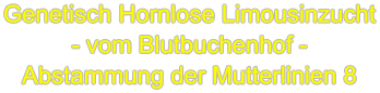 Genetisch Hornlose Limousinzucht - vom Blutbuchenhof - Abstammung der Mutterlinien 8