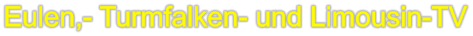 Eulen,- Turmfalken- und Limousin-TV