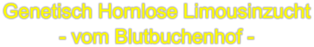 Genetisch Hornlose Limousinzucht - vom Blutbuchenhof -