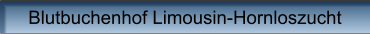 Blutbuchenhof Limousin-Hornloszucht